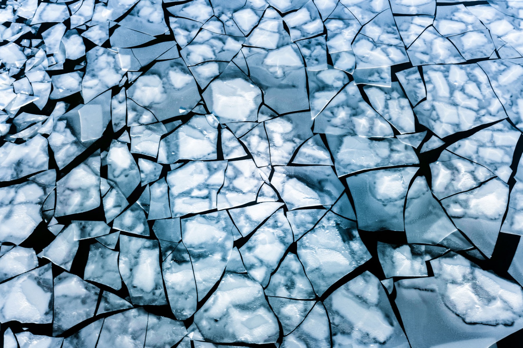 unnamed image